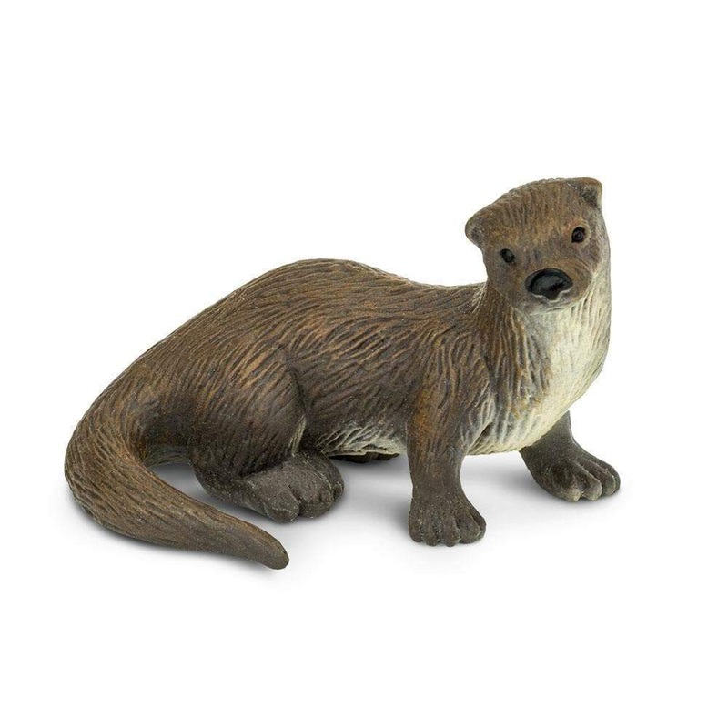 River Otter by Safari