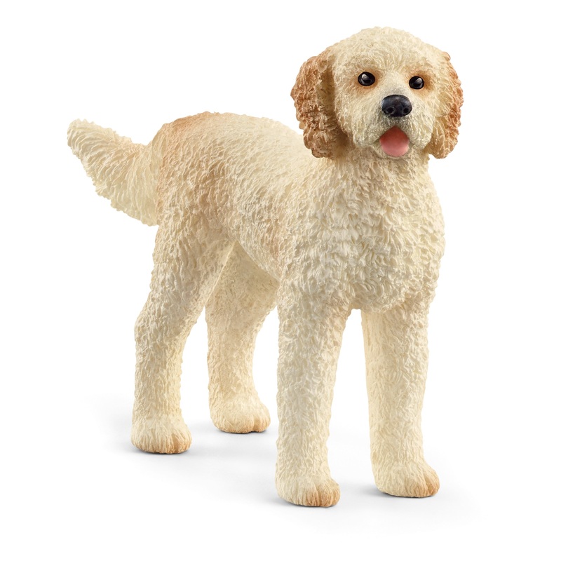 SL13939 Schleich Goldendoodle