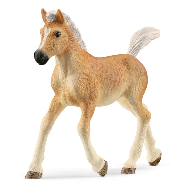 SL13951 Schleich Haflinger Foal