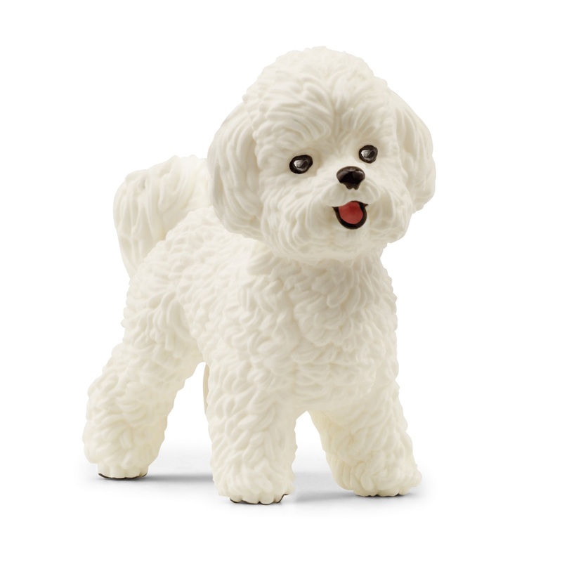 SL13963 Schleich Bichon Frise