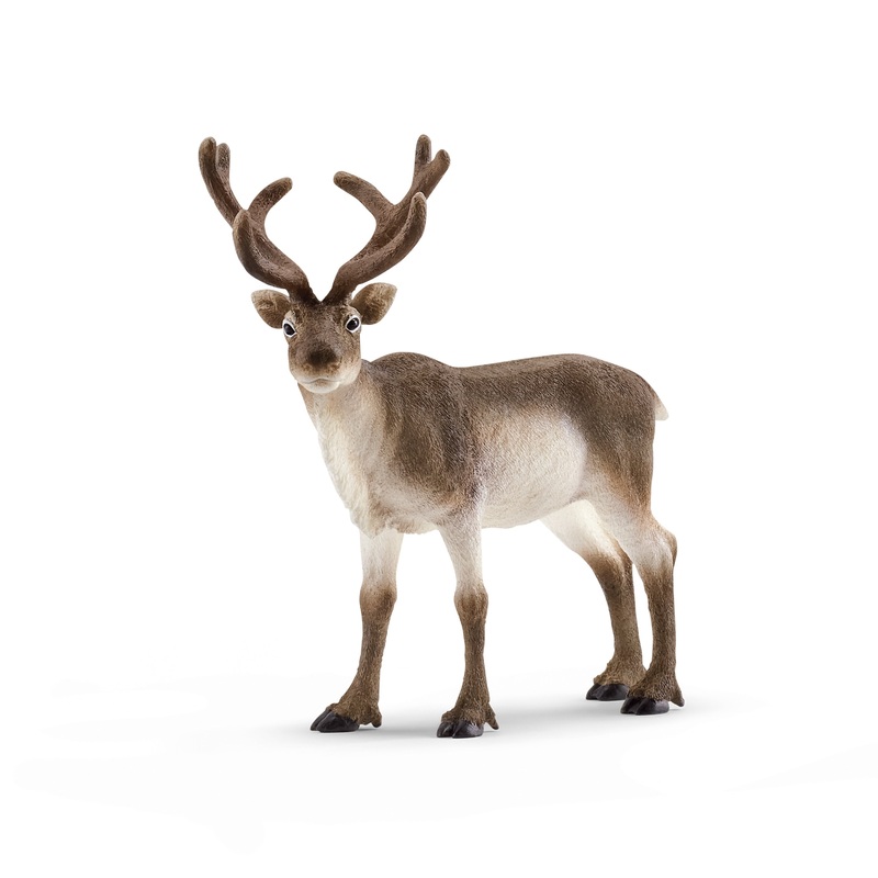 SL14837 Schleich Reindeer