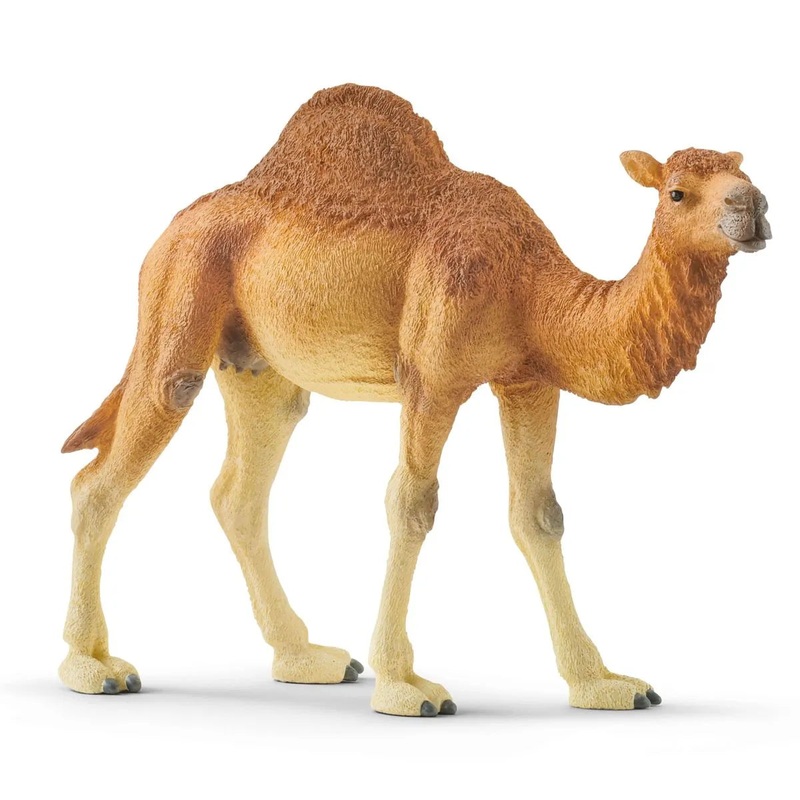 SL14832 Schleich Dromedary