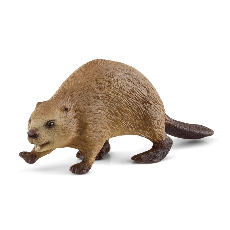 SL14855 Schleich Beaver