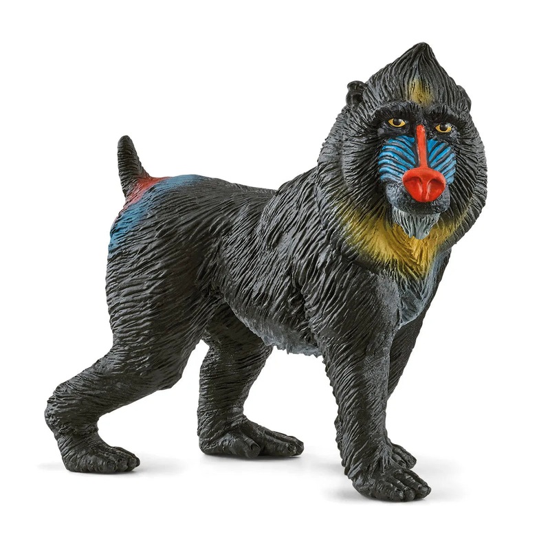 SL14856 Schleich Mandrill