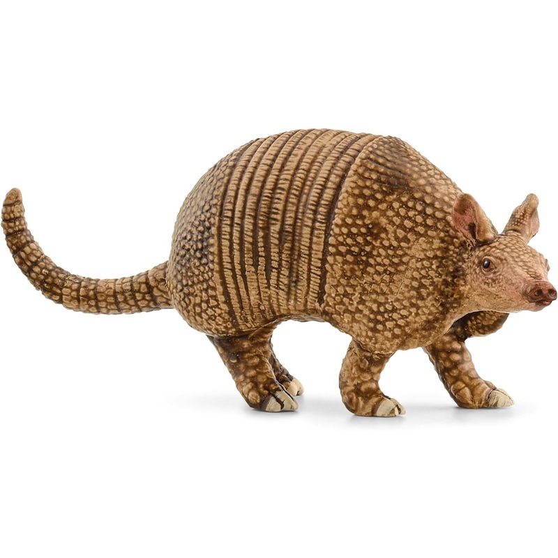 SL14874 Schleich Armadillo