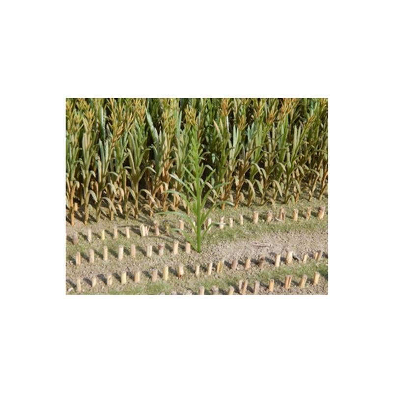 JL23288 Juweela Maize Plants Green 50 pcs