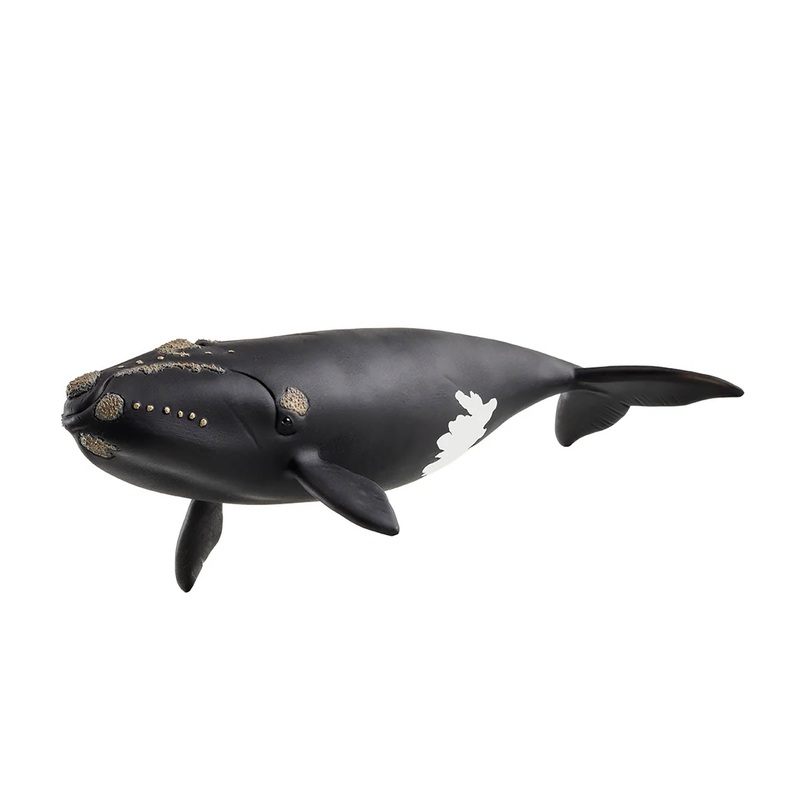 SL14878 Schleich North Atlantic Right Whale