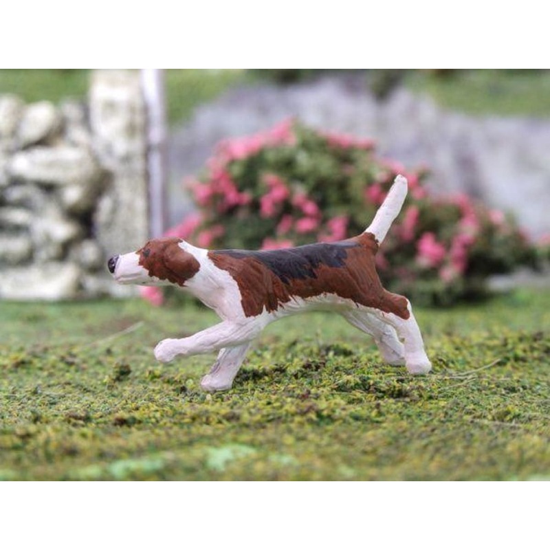 HLT-WMA11 Hound - Cosmo