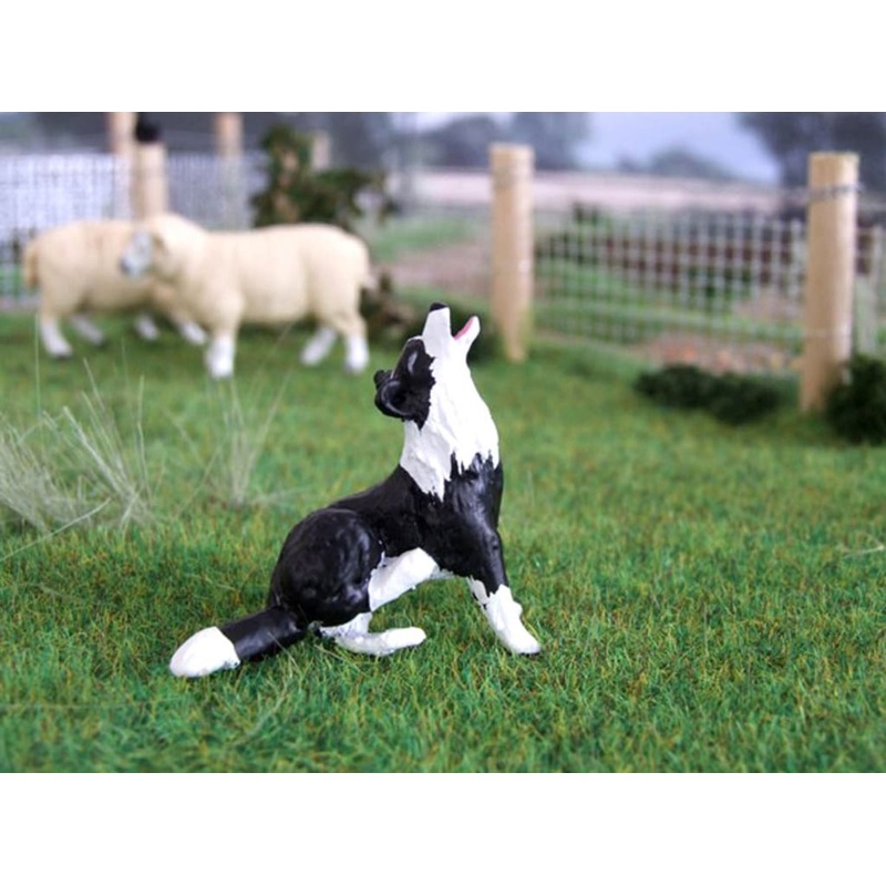 HLT-WMA13 HLT Farm Border Collie Badger