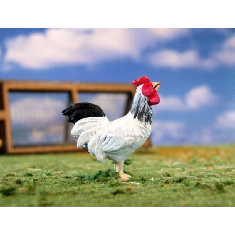 HLT-WMA81 Cockrel White