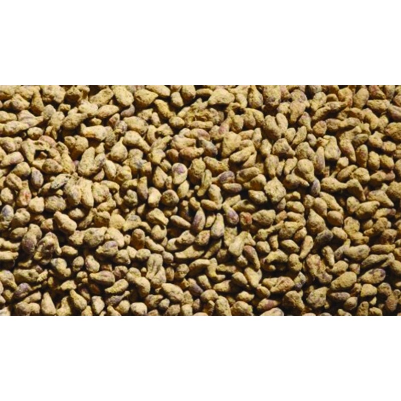 JL23092 Juweela Sugarbeets (150g)