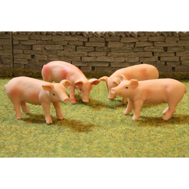 KG1905 KG PIGS (4)