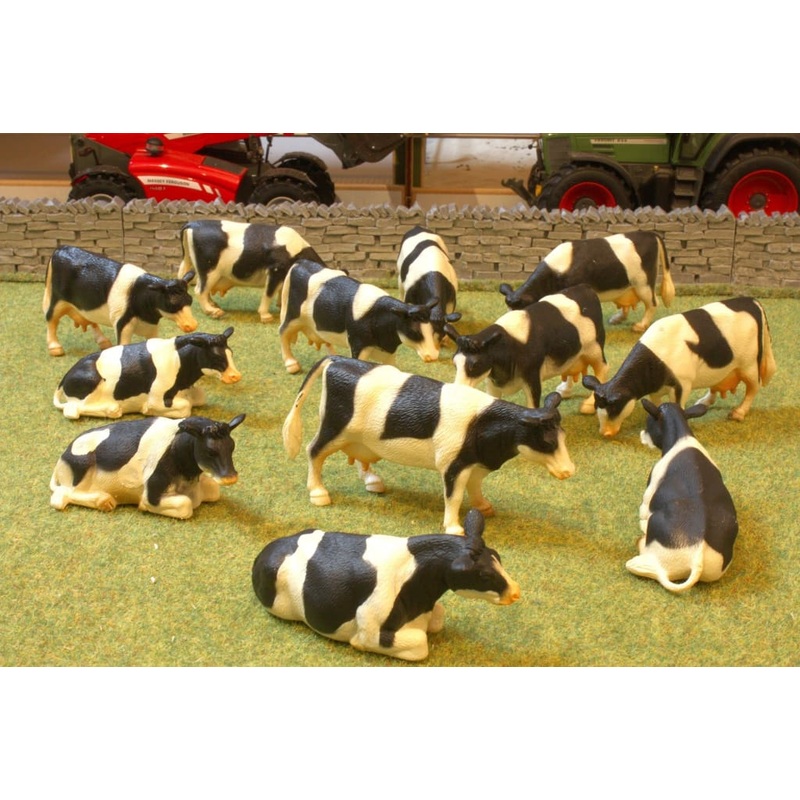 KG1929 Herd of 12 Friesian Dairy Cows
