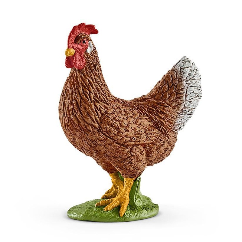 SL13826 Scheich Hen