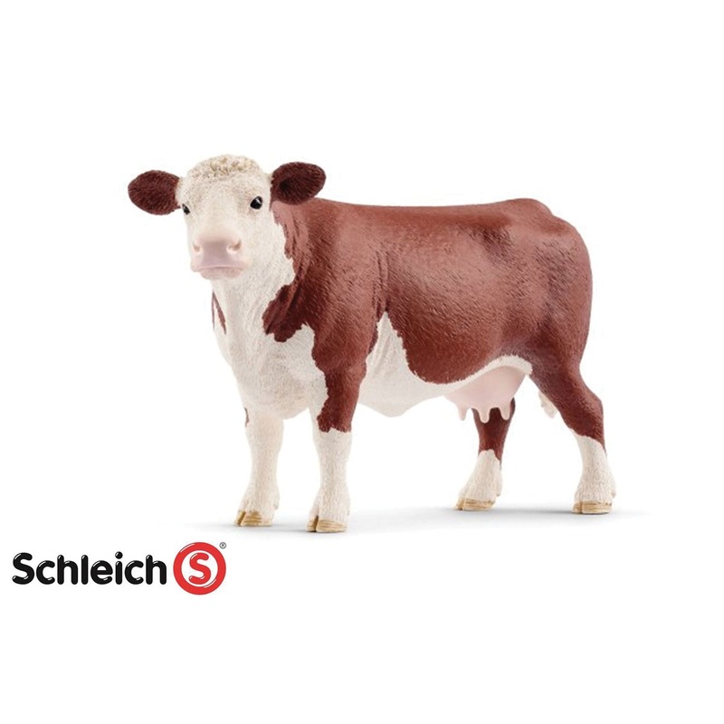 SL13867 Hereford Cow
