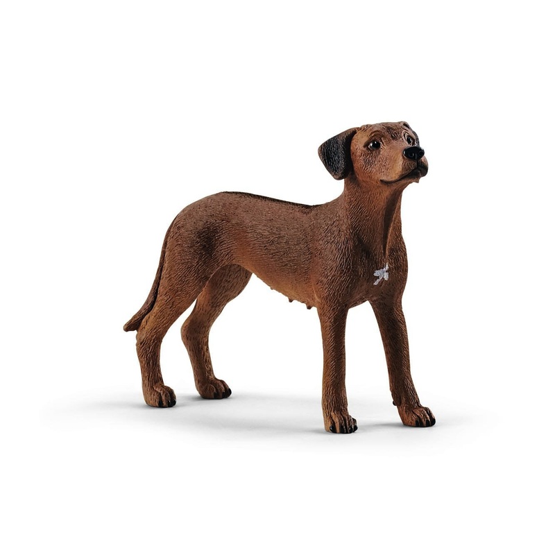 SL13895 Schleich Rhodesian Ridgeback