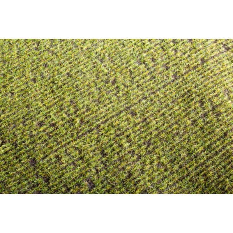 Model Scene F401 Spring field
