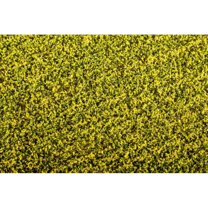 Model Scene F450 Rape field