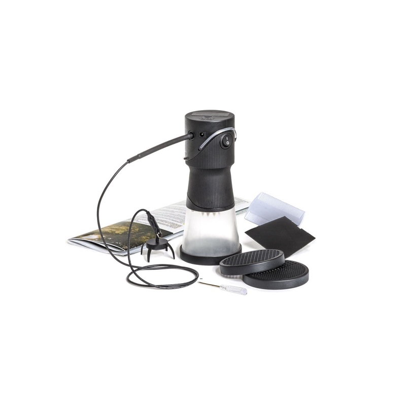 Woodland Scenics FS639 Static King