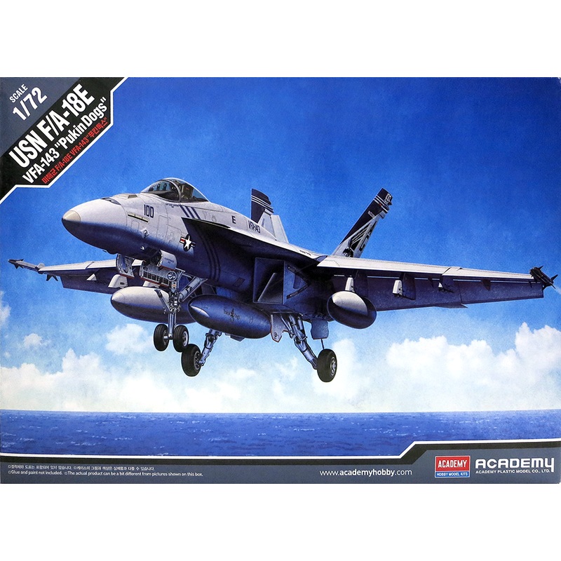 Academy 12547 1/72 USN F/A-18E VFA-143 Pukin Dogs