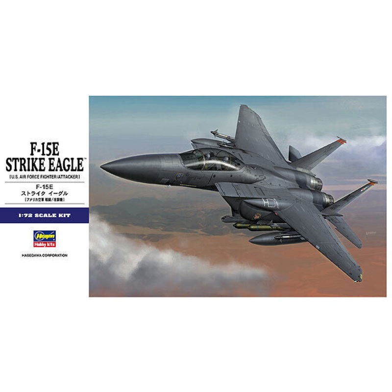 Hasegawa 01569 1/72 F-15E Strike Eagle