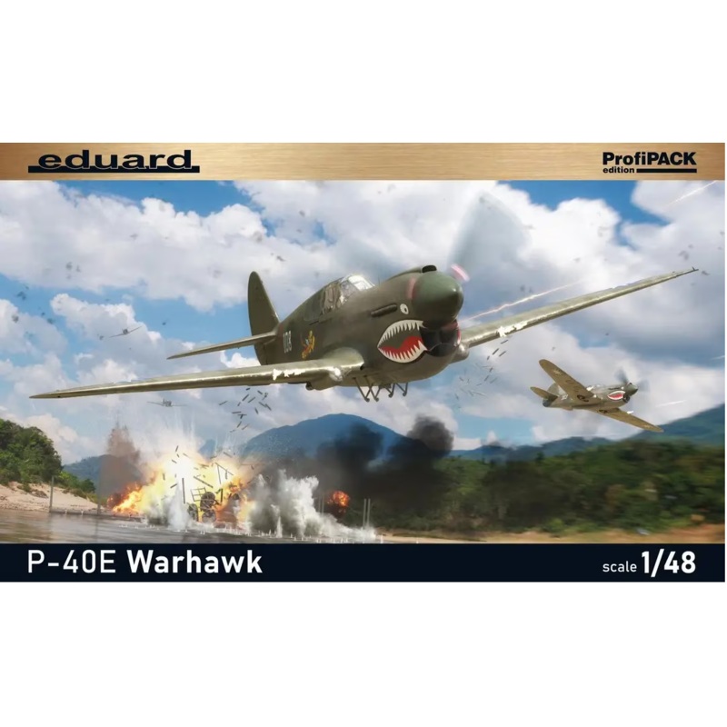 Eduard  82241 1/48 P-40E Warhawk Profipack Edition